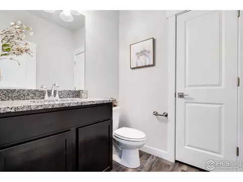 234 E Chestnut St #4, Windsor, CO 80550 photo 12