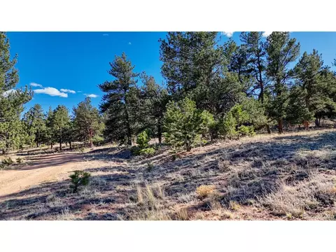 5124 Arikara Trl, Hartsel, CO 80449