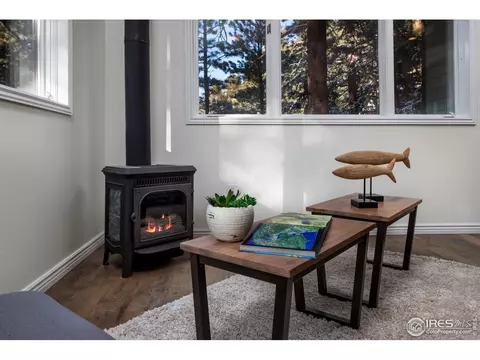 28324 S Saint Vrain Dr, Lyons, CO 80540 photo 12