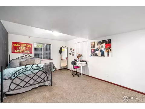 906 Cameron Dr, Severance, CO 80550 photo 18