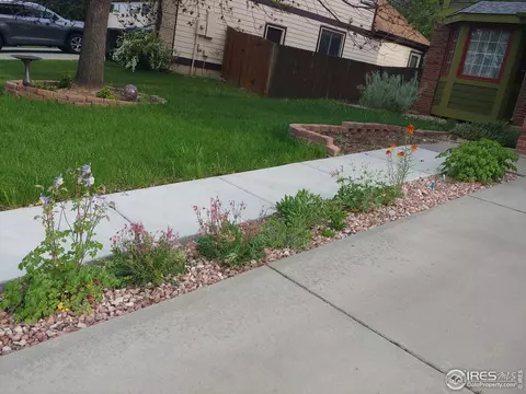 525 E 16th Ave, Longmont, CO 80504 photo 3