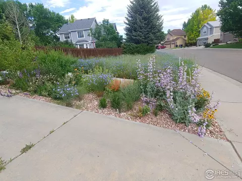 525 E 16th Ave, Longmont, CO 80504 photo 4