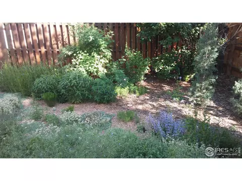 525 E 16th Ave, Longmont, CO 80504 photo 6