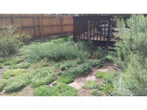 525 E 16th Ave, Longmont, CO 80504 photo 7
