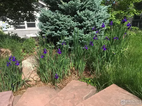 941 8th St, Boulder, CO 80302 photo 40