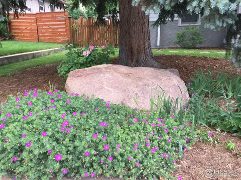 941 8th St, Boulder, CO 80302 photo 38