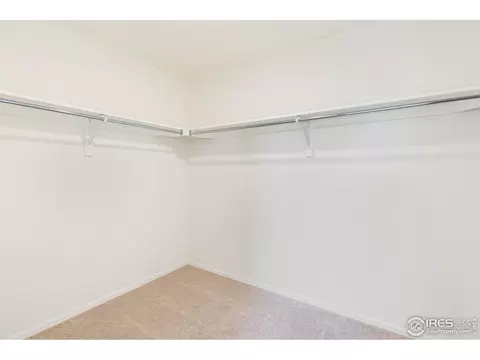 242 Gwyneth Lake Dr, Severance, CO 80550 photo 20