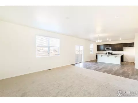 242 Gwyneth Lake Dr, Severance, CO 80550 photo 4
