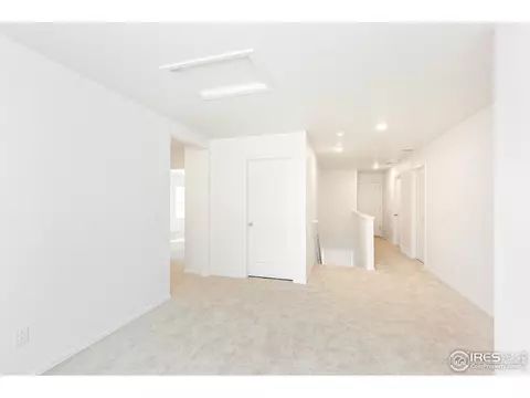 242 Gwyneth Lake Dr, Severance, CO 80550 photo 15