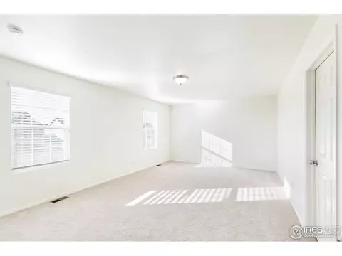 242 Gwyneth Lake Dr, Severance, CO 80550 photo 16