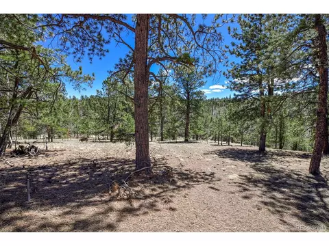 112 Blue Jay Ln, Florissant, CO 80816