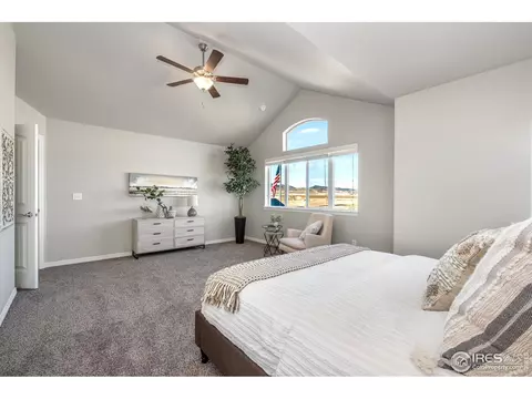 1555 Corby Dr, Windsor, CO 80550 photo 14