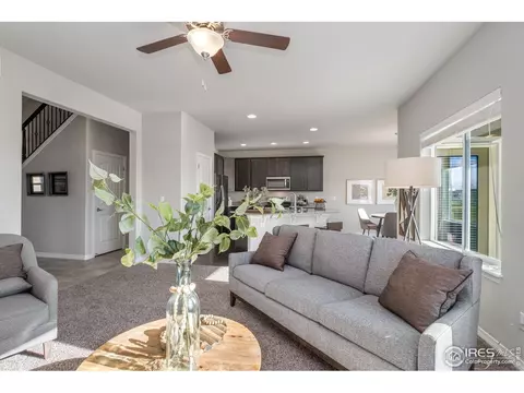 1555 Corby Dr, Windsor, CO 80550 photo 7
