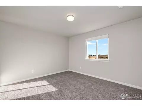 1555 Corby Dr, Windsor, CO 80550 photo 20