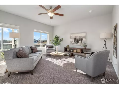 1555 Corby Dr, Windsor, CO 80550 photo 5