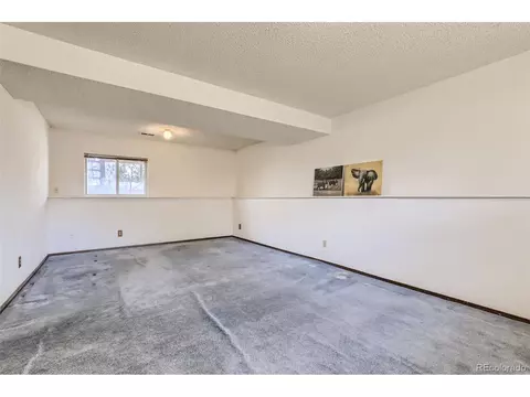 4301 E 118th Pl, Thornton, CO 80233 photo 9