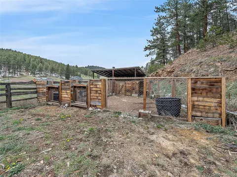 24293 Running Deer Rd, Conifer, CO 80433 photo 29
