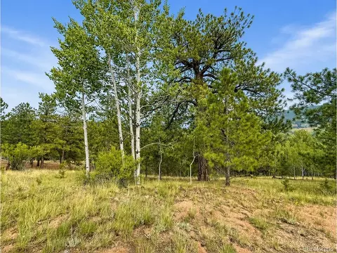88 May Queen Way, Cripple Creek, CO 80813