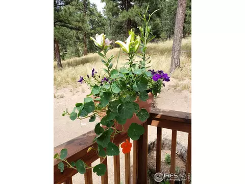 78 Weaver Dr, Boulder, CO 80302 photo 8