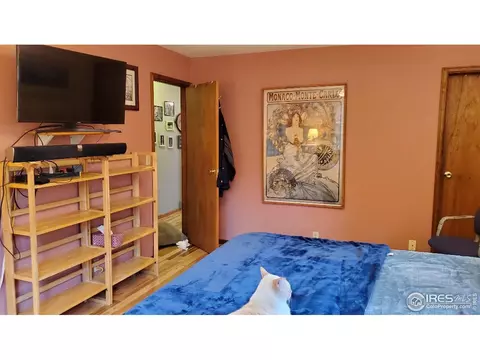 78 Weaver Dr, Boulder, CO 80302 photo 21