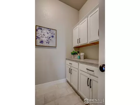 5441 Longshaw Ct #1, Windsor, CO 80528 photo 21