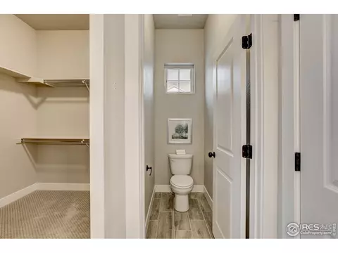 5441 Longshaw Ct #1, Windsor, CO 80528 photo 27