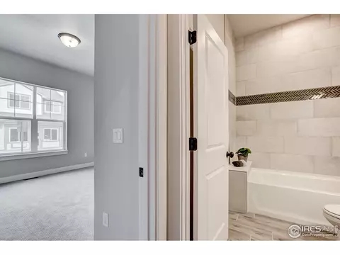 5441 Longshaw Ct #1, Windsor, CO 80528 photo 29