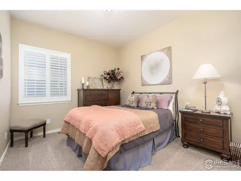 1906 E Seadrift Dr, Windsor, CO 80550 photo 26