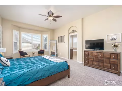 1906 E Seadrift Dr, Windsor, CO 80550 photo 21
