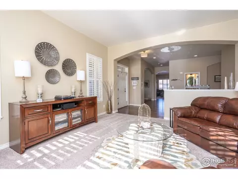 1906 E Seadrift Dr, Windsor, CO 80550 photo 6