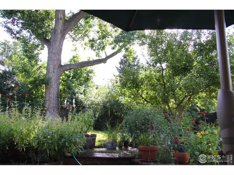 711 11th St, Boulder, CO 80302 photo 23