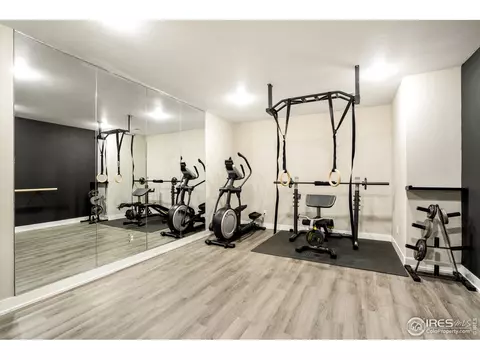 1817 Seashell Ct, Windsor, CO 80550 photo 22