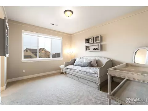 1817 Seashell Ct, Windsor, CO 80550 photo 18