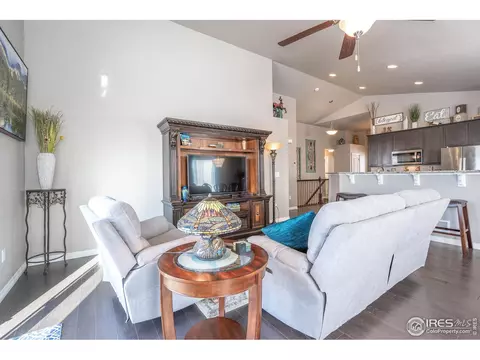 5556 Chantry Dr, Windsor, CO 80550 photo 12