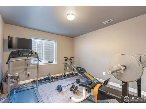 5556 Chantry Dr, Windsor, CO 80550 photo 25