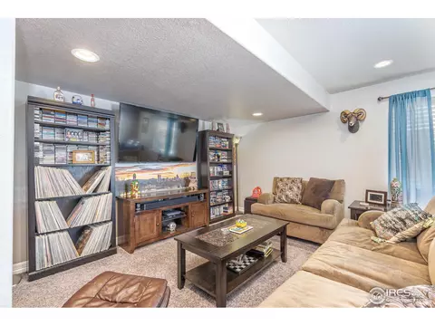 5556 Chantry Dr, Windsor, CO 80550 photo 30