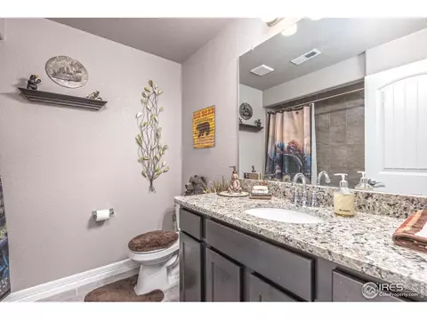5556 Chantry Dr, Windsor, CO 80550 photo 24