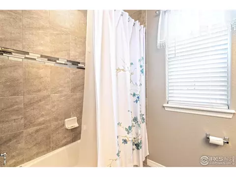 5556 Chantry Dr, Windsor, CO 80550 photo 20