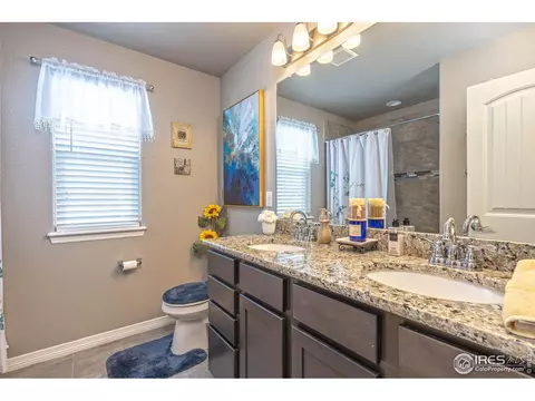 5556 Chantry Dr, Windsor, CO 80550 photo 19