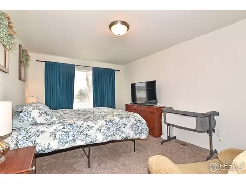 942 Scotch Pine Dr, Severance, CO 80550 photo 19