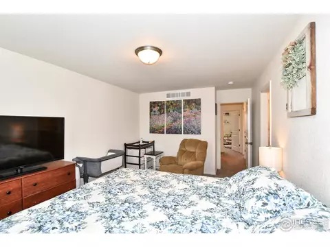 942 Scotch Pine Dr, Severance, CO 80550 photo 20