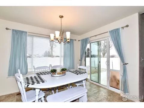 942 Scotch Pine Dr, Severance, CO 80550 photo 15