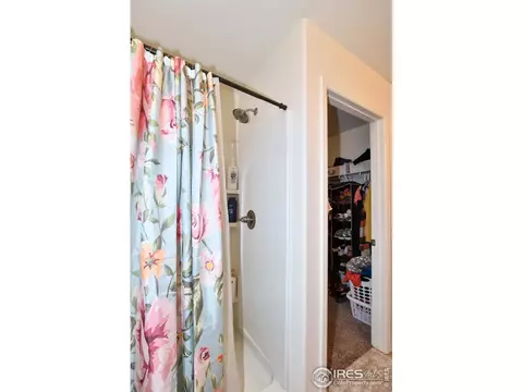 942 Scotch Pine Dr, Severance, CO 80550 photo 22