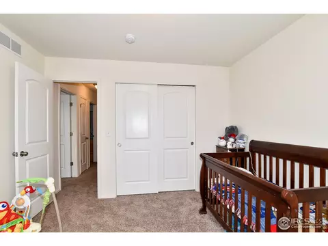 942 Scotch Pine Dr, Severance, CO 80550 photo 28