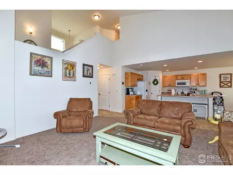 942 Scotch Pine Dr, Severance, CO 80550 photo 7