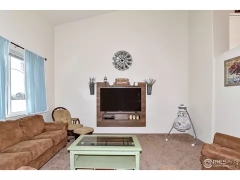 942 Scotch Pine Dr, Severance, CO 80550 photo 4