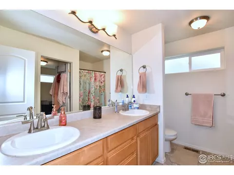 942 Scotch Pine Dr, Severance, CO 80550 photo 21