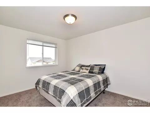 942 Scotch Pine Dr, Severance, CO 80550 photo 24