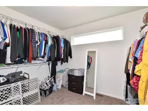 942 Scotch Pine Dr, Severance, CO 80550 photo 23