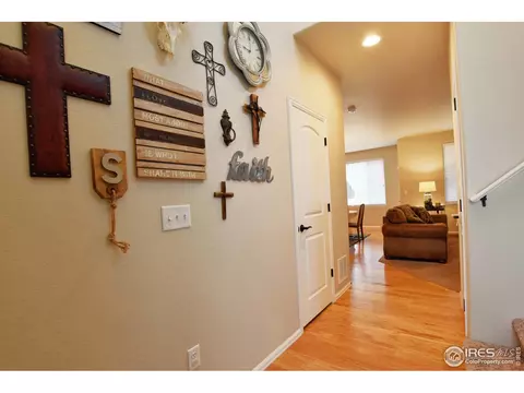 2120 Grain Bin Dr, Windsor, CO 80550 photo 6
